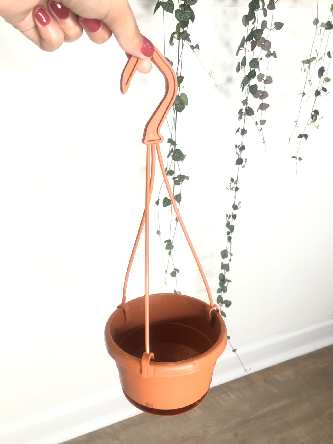 Hanging Basket Plastic Rule of Green Thumb