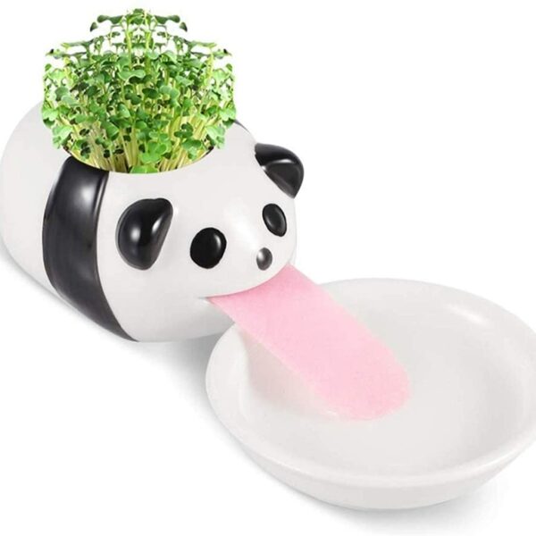 Self Watering Plant Pet: Panda