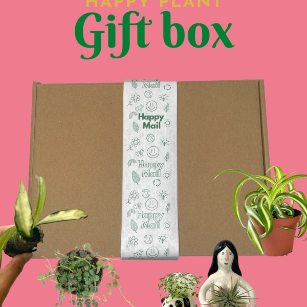 Plant Lover Gift Box