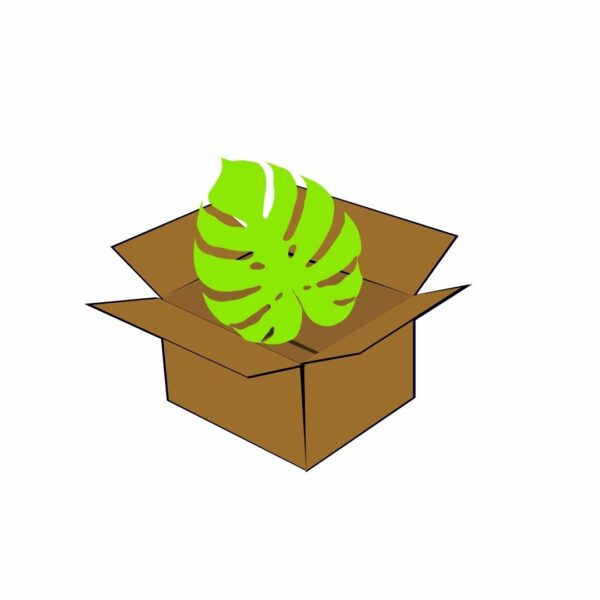 plant shipping