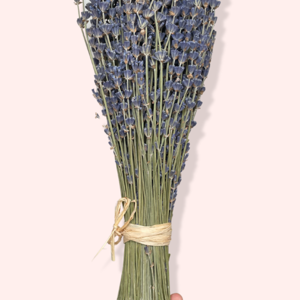 French Dried Lavender Bouquet