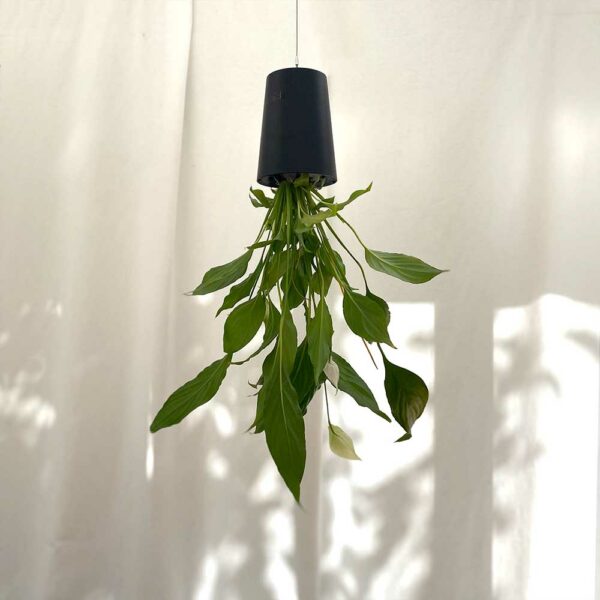 self watering hanging planter