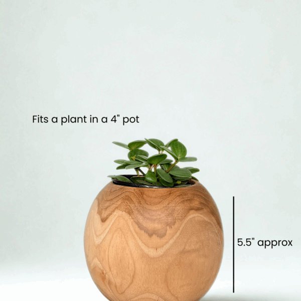 Teak round planter