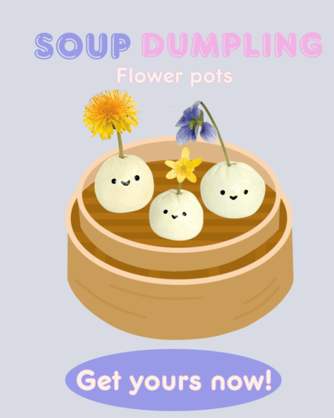 ceramic art soup dumpling